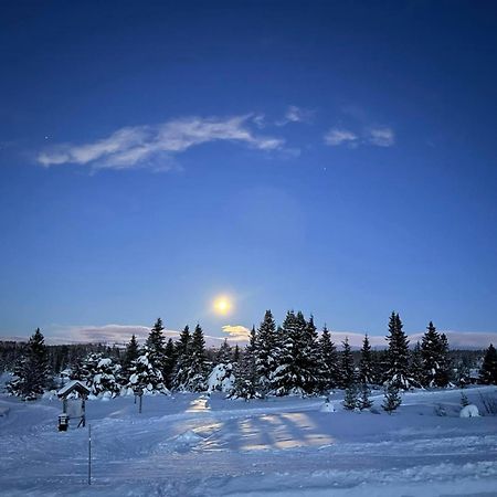 Nordseter Fjellpark, Hyttegrend 外观 照片