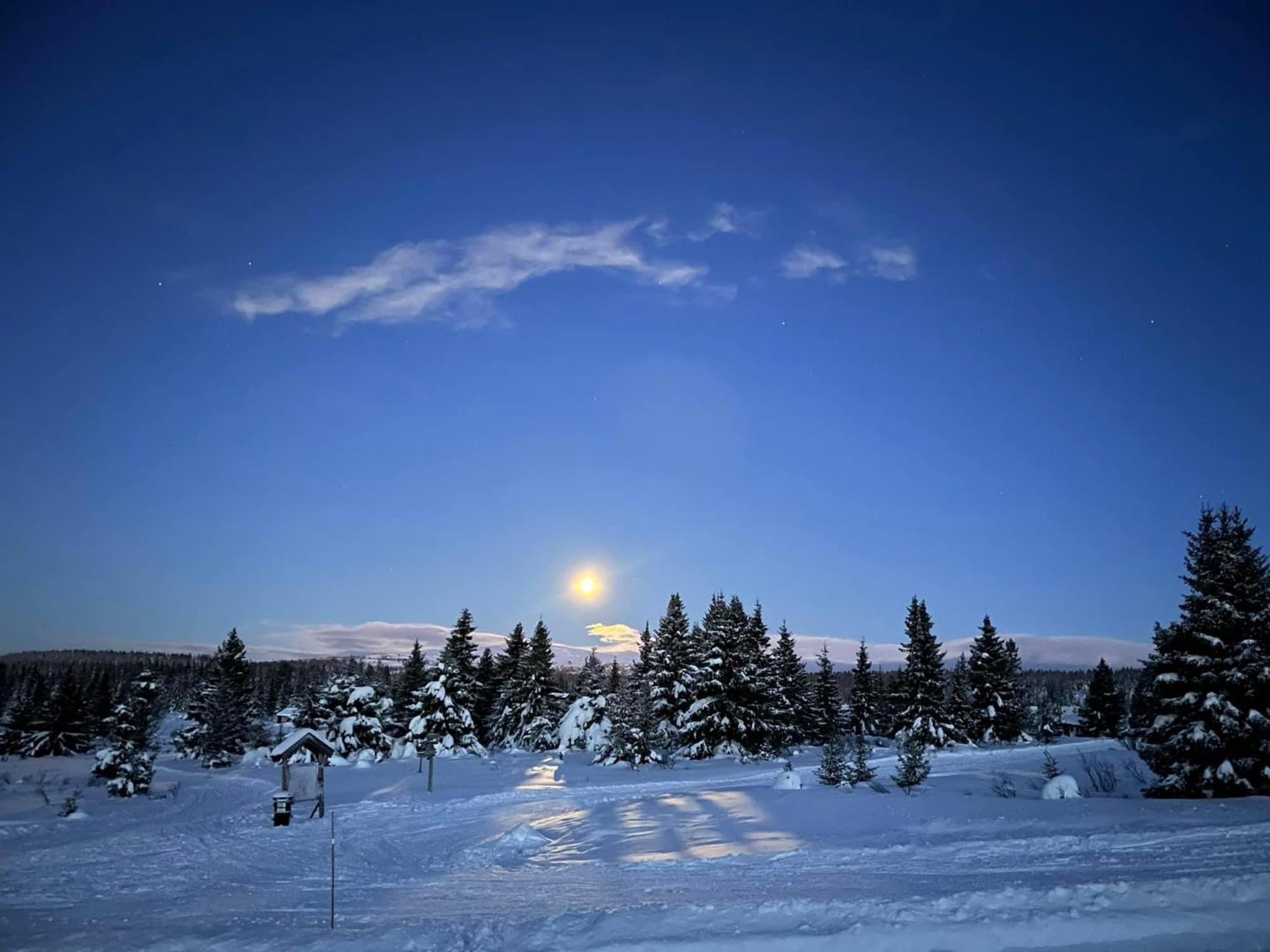 Nordseter Fjellpark, Hyttegrend 外观 照片