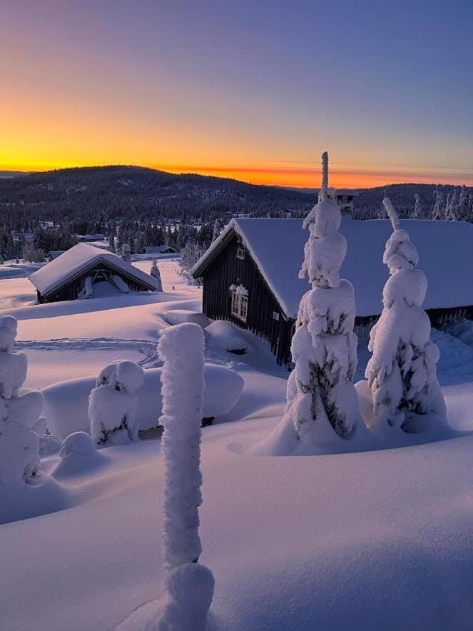 Nordseter Fjellpark, Hyttegrend 客房 照片